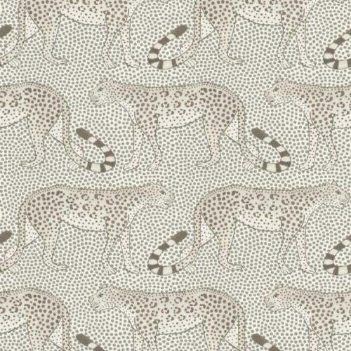 Leopard Walk 109-2011